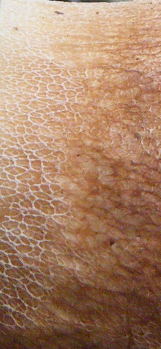 Presi nella rete...quiz.